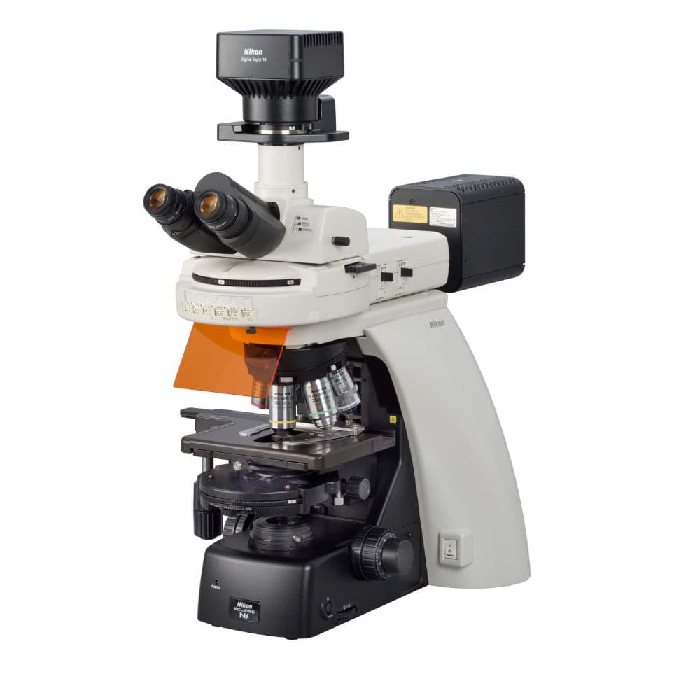 Picture of Eclipse Ni-L Upright Microscope